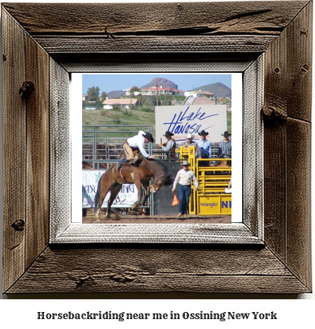 horseback riding near me in Ossining, New York